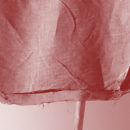 04-beres-obarvene-nologo