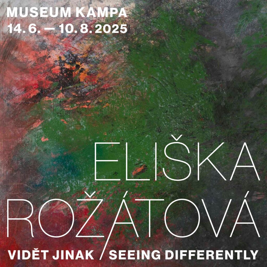 Komentovaná prohlídka výstavy Vidět jinak s kurátorkou Helenou Musilovou 17. červenec 2025 od 18:00